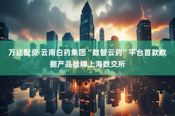 万达配资 云南白药集团“数智云药”平台首款数据产品挂牌上海数交所