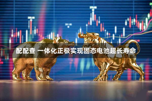 配配查 一体化正极实现固态电池超长寿命