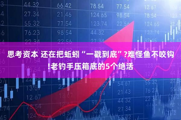 思考资本 还在把蚯蚓“一戳到底”?难怪鱼不咬钩!老钓手压箱底的5个绝活