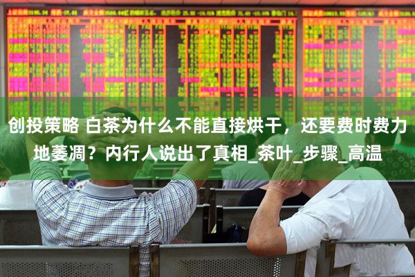 创投策略 白茶为什么不能直接烘干，还要费时费力地萎凋？内行人说出了真相_茶叶_步骤_高温