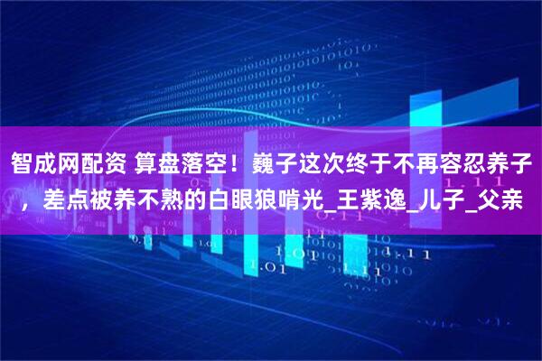智成网配资 算盘落空！巍子这次终于不再容忍养子，差点被养不熟的白眼狼啃光_王紫逸_儿子_父亲