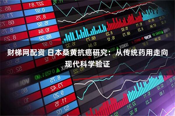 财梯网配资 日本桑黄抗癌研究：从传统药用走向现代科学验证